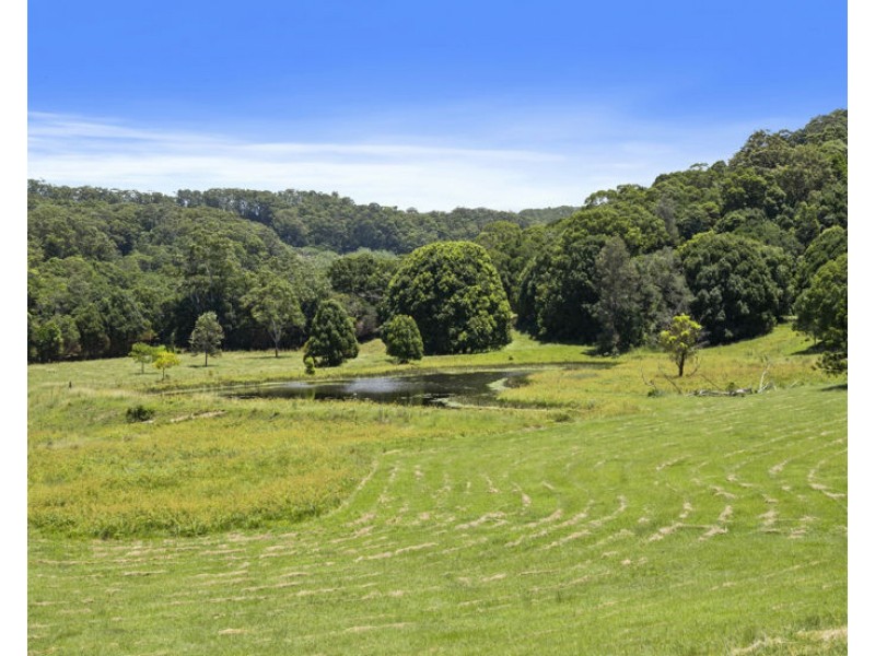 347 Pottsville Road, Sleepy Hollow NSW 2483