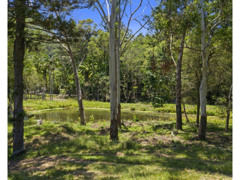 347 Pottsville Road, Sleepy Hollow NSW 2483