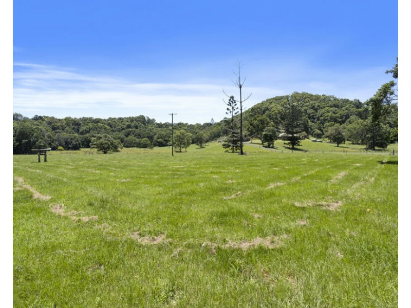 347 Pottsville Road, Sleepy Hollow NSW 2483