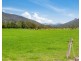 Tyalgum Road, Murwillumbah NSW 2484