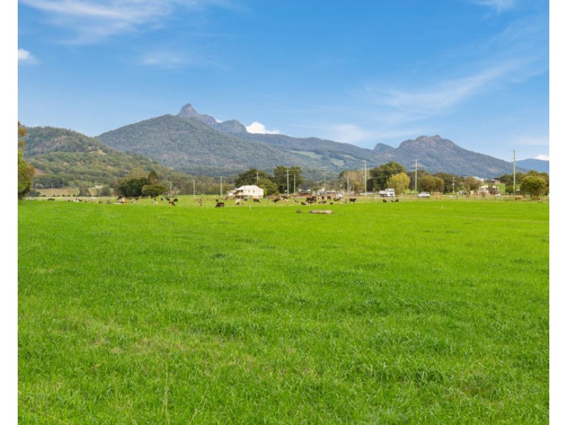 Tyalgum Road, Murwillumbah NSW 2484