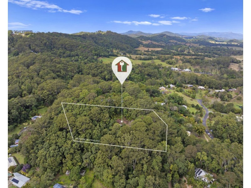 313 Clothiers Creek Road, Nunderi NSW 2484