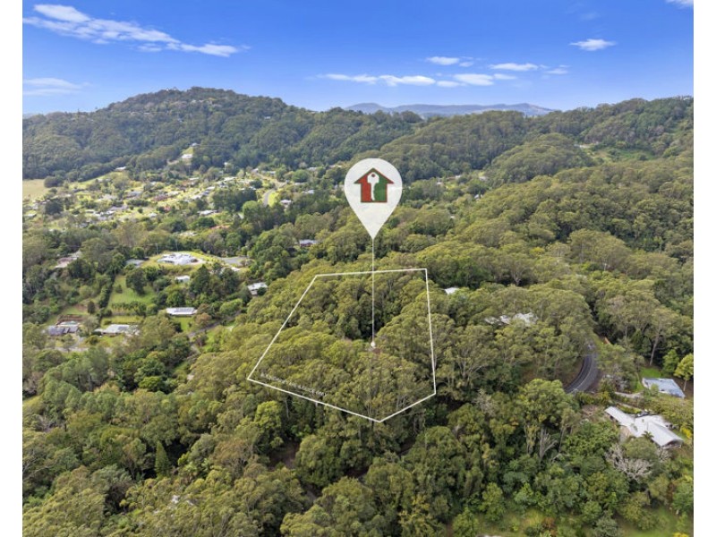 313 Clothiers Creek Road, Nunderi NSW 2484