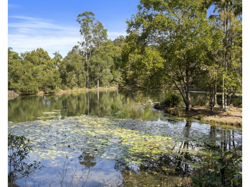 113 Tree Tops Boulevard, Murwillumbah NSW 2484