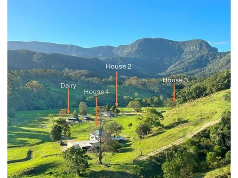 530-542 & 569 Upper Crystal Creek Road, Upper Crystal Creek NSW 2484