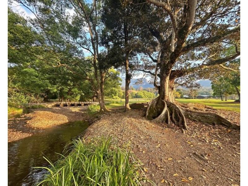 530-542 & 569 Upper Crystal Creek Road, Upper Crystal Creek NSW 2484