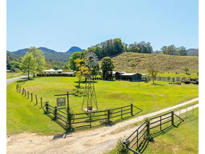 530-542 & 569 Upper Crystal Creek Road, Upper Crystal Creek NSW 2484
