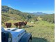 530-542 & 569 Upper Crystal Creek Road, Upper Crystal Creek NSW 2484