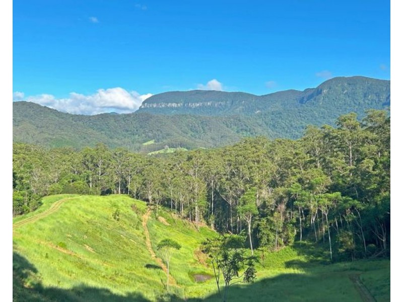 530-542 & 569 Upper Crystal Creek Road, Upper Crystal Creek NSW 2484