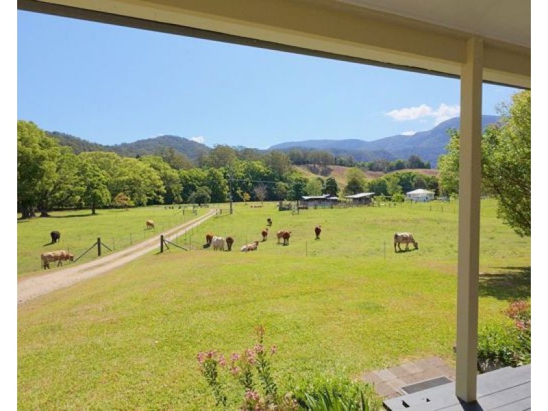 530-542 & 569 Upper Crystal Creek Road, Upper Crystal Creek NSW 2484