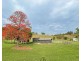 530-542 & 569 Upper Crystal Creek Road, Upper Crystal Creek NSW 2484