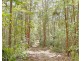 530-542 & 569 Upper Crystal Creek Road, Upper Crystal Creek NSW 2484