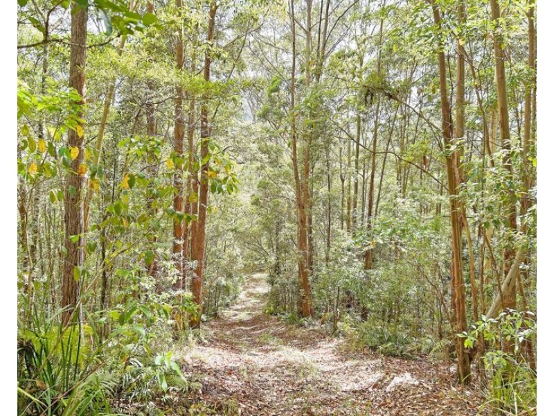 530-542 & 569 Upper Crystal Creek Road, Upper Crystal Creek NSW 2484