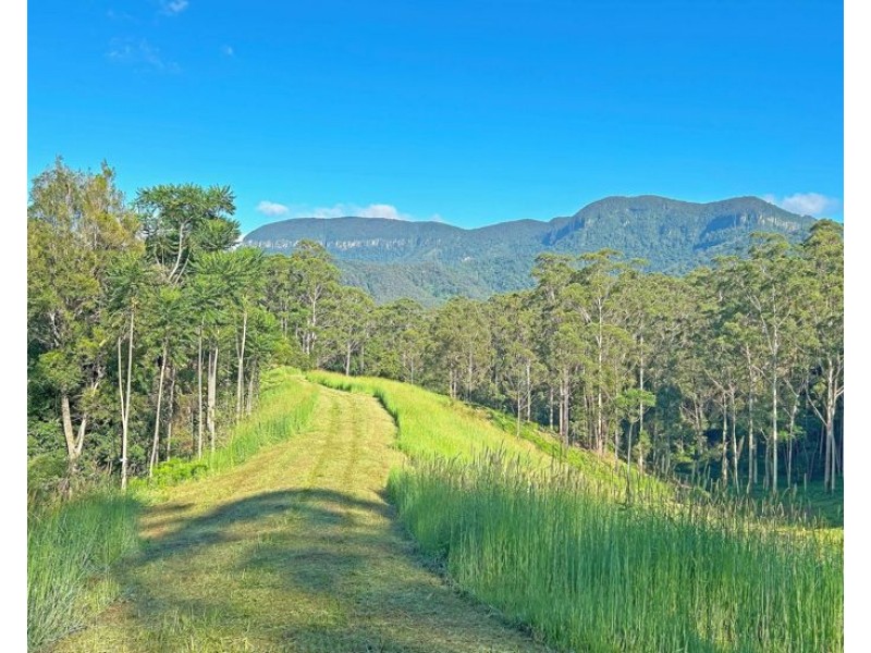 530-542 & 569 Upper Crystal Creek Road, Upper Crystal Creek NSW 2484