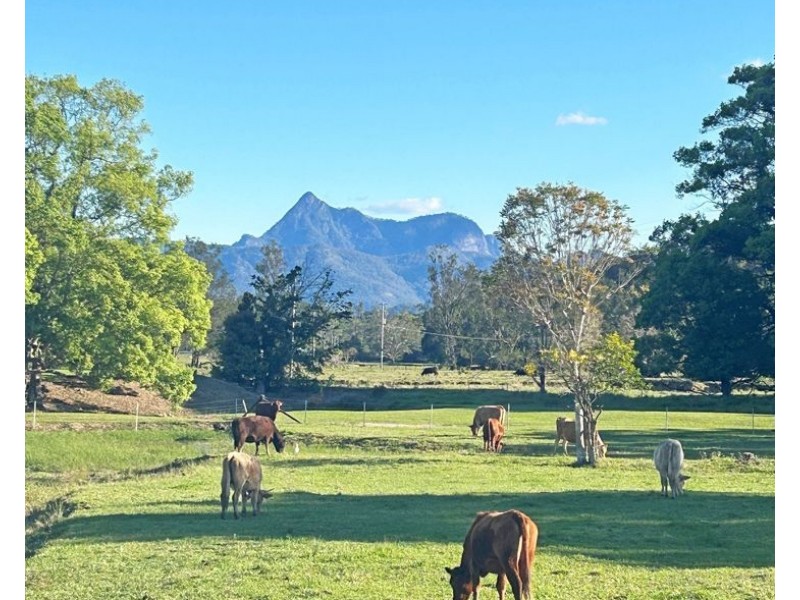 530-542 & 569 Upper Crystal Creek Road, Upper Crystal Creek NSW 2484