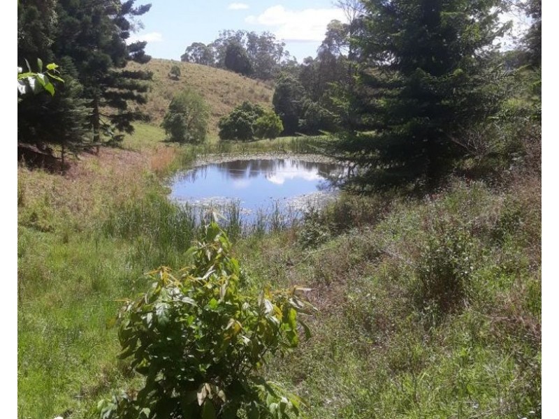 53 Gurrinyah drive, Stokers Siding NSW 2484