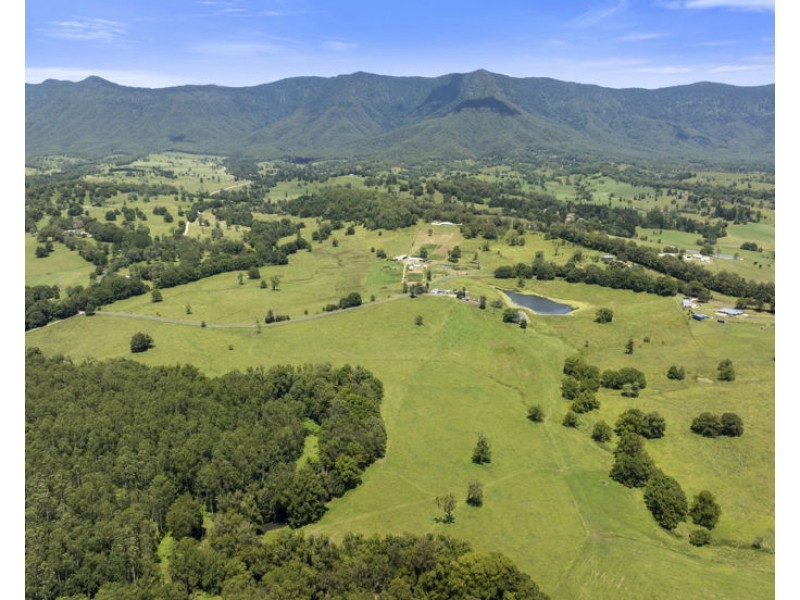 495 Brays Creek Road, Pumpenbil NSW 2484