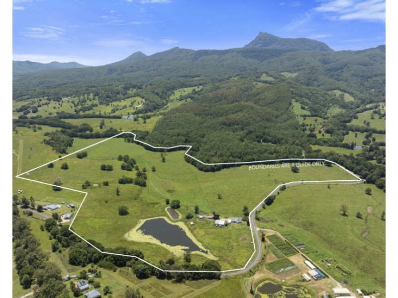 495 Brays Creek Road, Pumpenbil NSW 2484