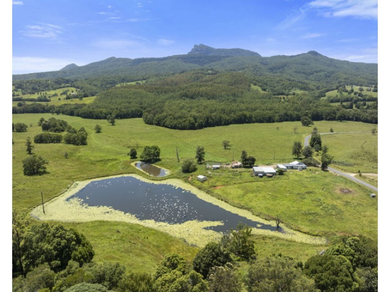 495 Brays Creek Road, Pumpenbil NSW 2484