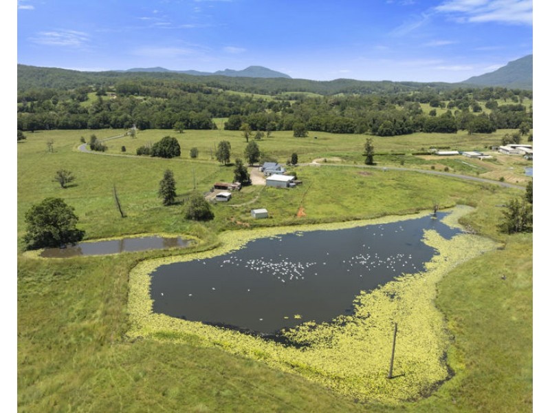 495 Brays Creek Road, Pumpenbil NSW 2484