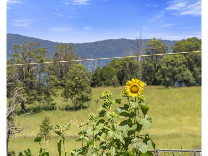 495 Brays Creek Road, Pumpenbil NSW 2484