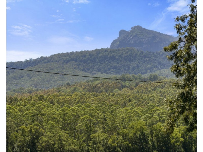 495 Brays Creek Road, Pumpenbil NSW 2484