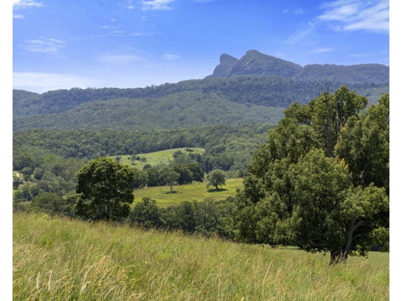 495 Brays Creek Road, Pumpenbil NSW 2484