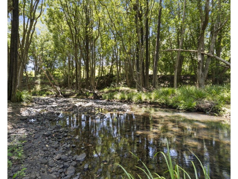 495 Brays Creek Road, Pumpenbil NSW 2484