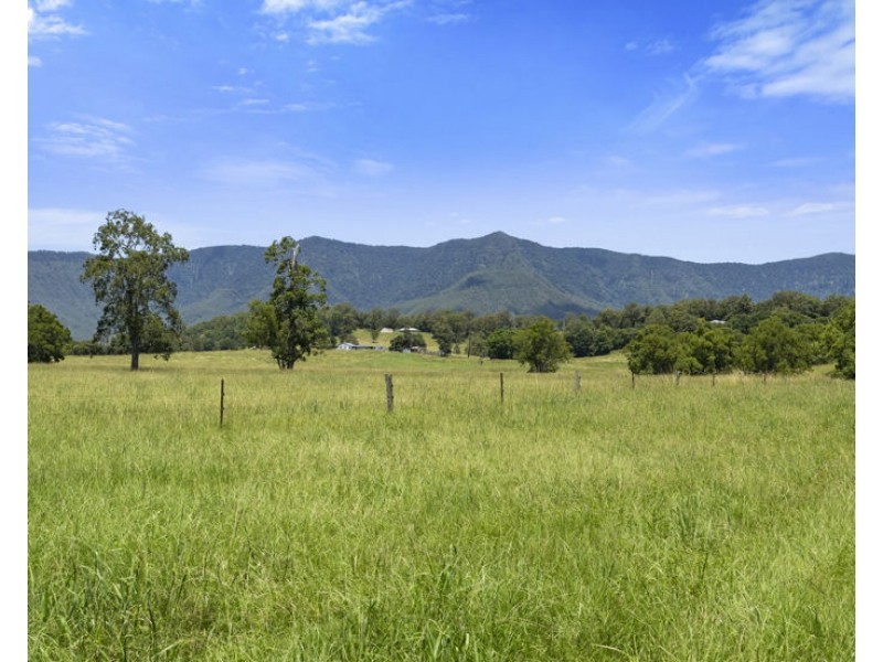 495 Brays Creek Road, Pumpenbil NSW 2484