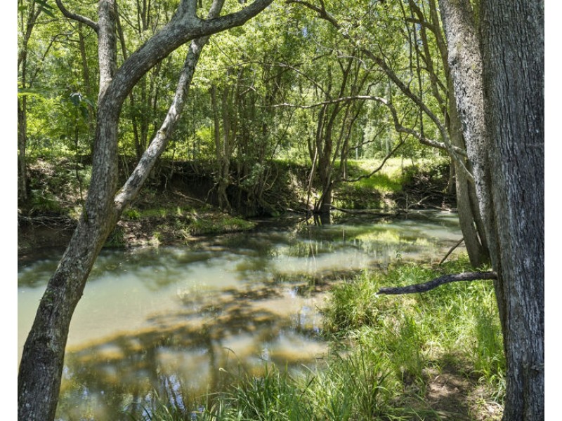 495 Brays Creek Road, Pumpenbil NSW 2484