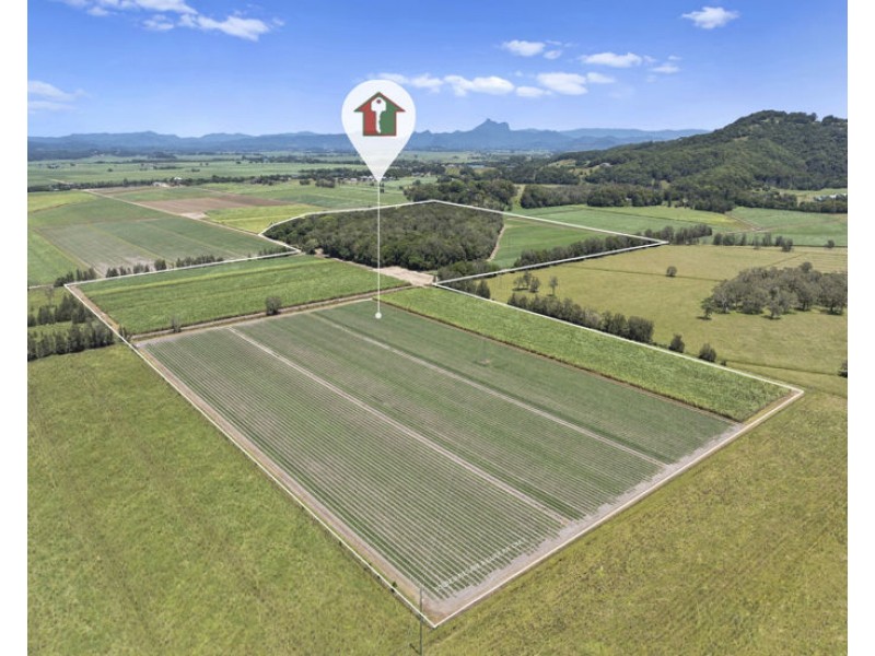 McAuleys Road, Murwillumbah NSW 2484