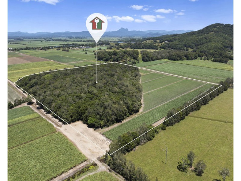 McAuleys Road, Murwillumbah NSW 2484