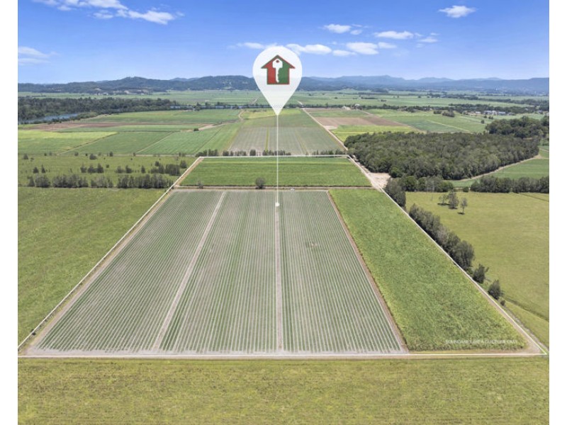 McAuleys Road, Murwillumbah NSW 2484