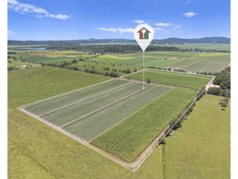 McAuleys Road, Murwillumbah NSW 2484