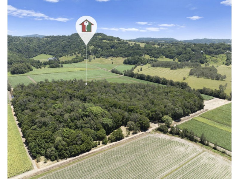 McAuleys Road, Murwillumbah NSW 2484