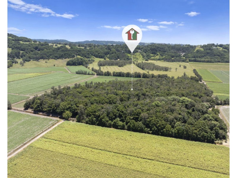 McAuleys Road, Murwillumbah NSW 2484