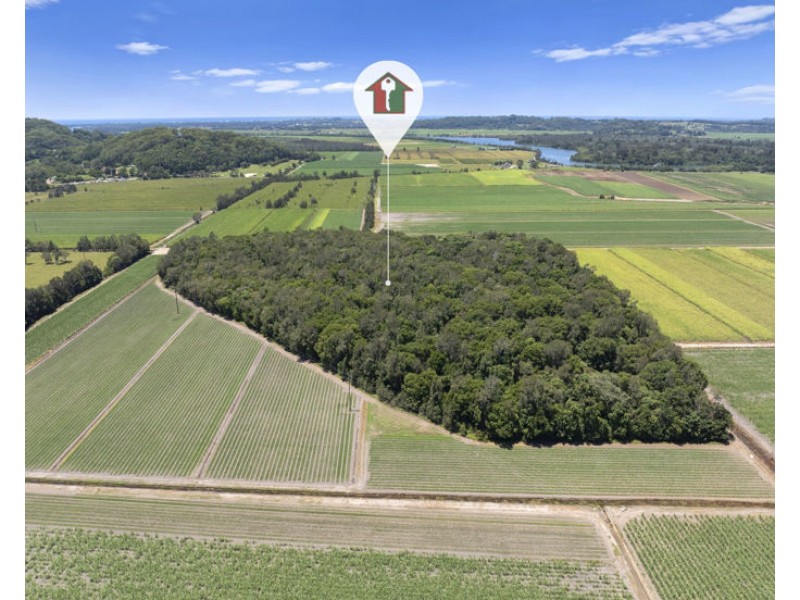 McAuleys Road, Murwillumbah NSW 2484