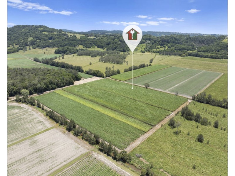 McAuleys Road, Murwillumbah NSW 2484
