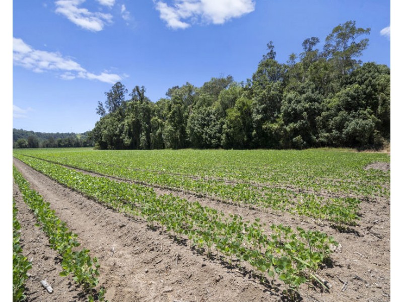 McAuleys Road, Murwillumbah NSW 2484