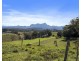 948 Doon Doon Road, Doon Doon NSW 2484