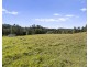 984 reserve creek road, Reserve Creek NSW 2484