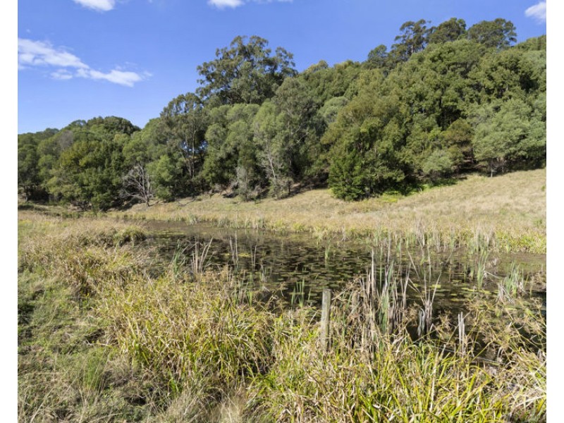 984 reserve creek road, Reserve Creek NSW 2484