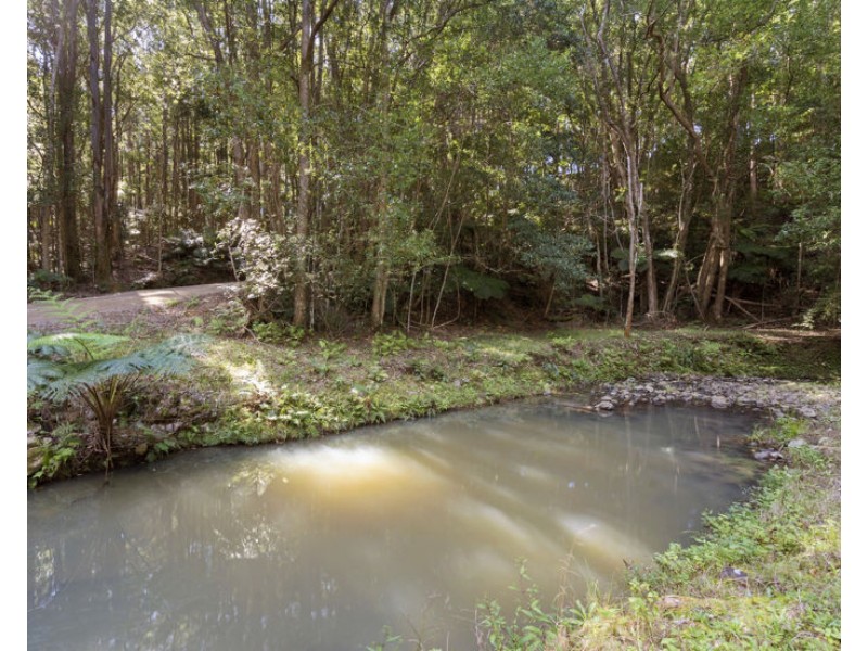 984 reserve creek road, Reserve Creek NSW 2484