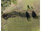 984 reserve creek road, Reserve Creek NSW 2484