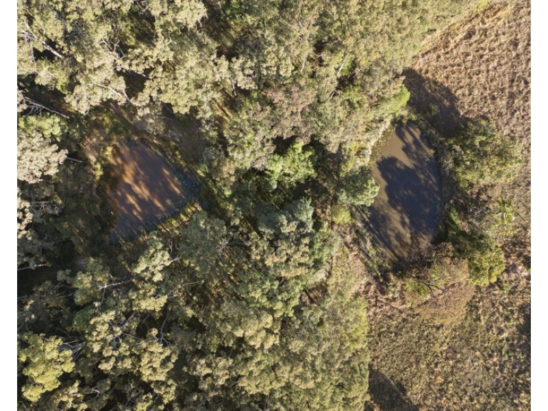 984 reserve creek road, Reserve Creek NSW 2484