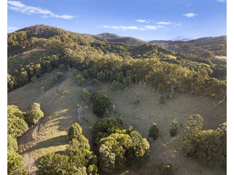 984 reserve creek road, Reserve Creek NSW 2484