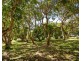 5943 tweed valley way, Mooball NSW 2483