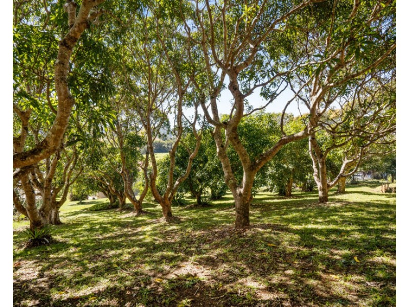 5943 tweed valley way, Mooball NSW 2483