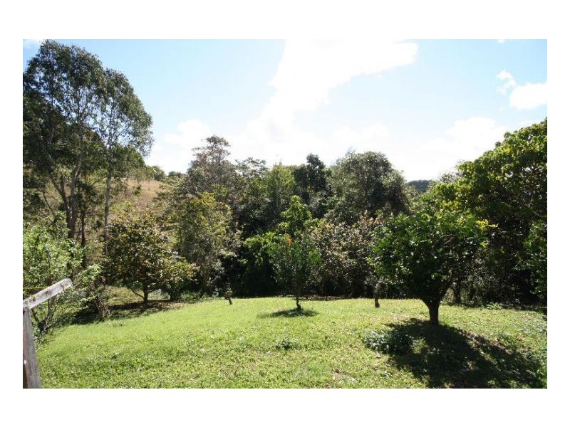 Murwillumbah NSW 2484