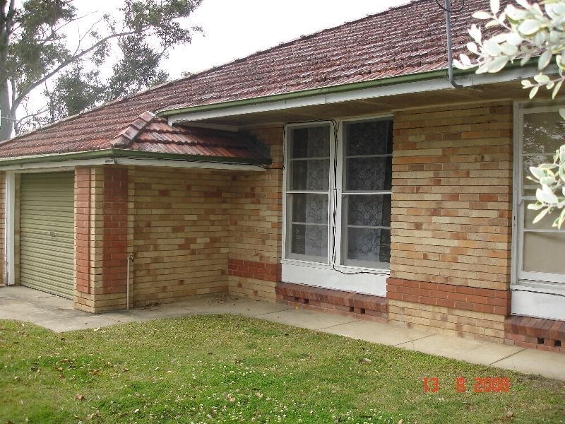Murwillumbah NSW 2484